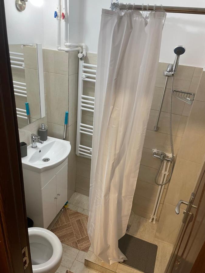 Appartement Studio Vio à Tulcea Extérieur photo